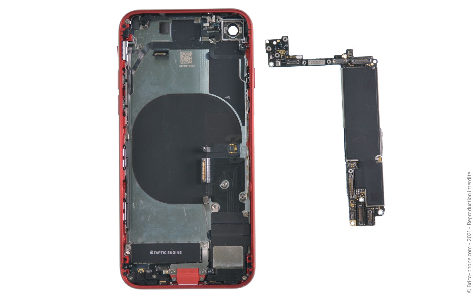 Changement de la coque arrière sur iPhone 8 photo 2