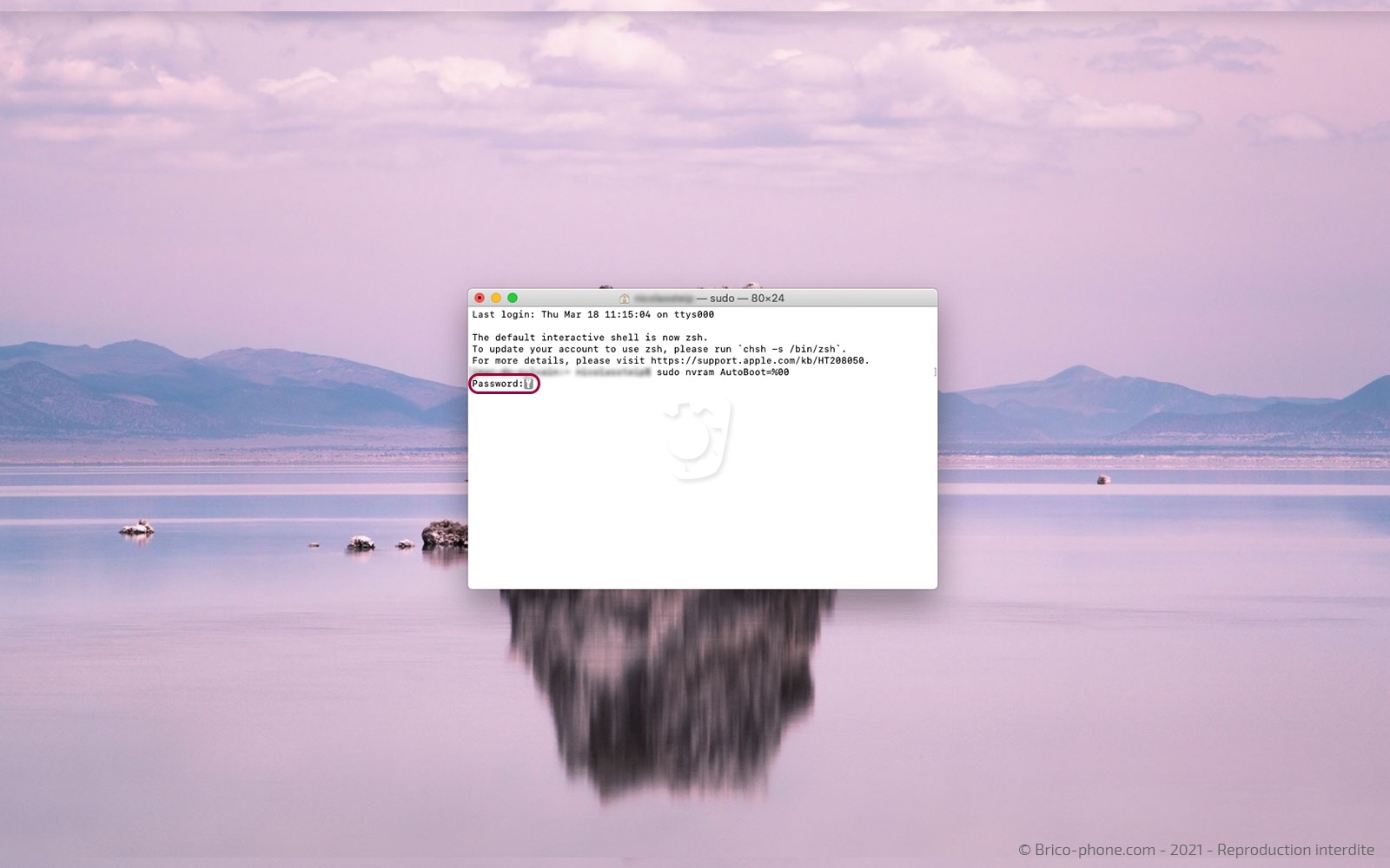 Changement de batterie sur Macbook Pro 13 pouces A1425 EMC 2672 - 2013 photo 3