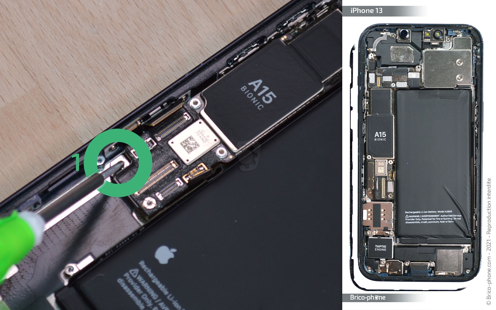 Changement du buzzer (HP interne) sur iPhone 13 photo 1