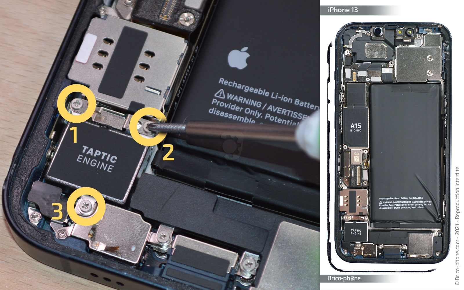 Changement du buzzer (HP interne) sur iPhone 13 photo 1