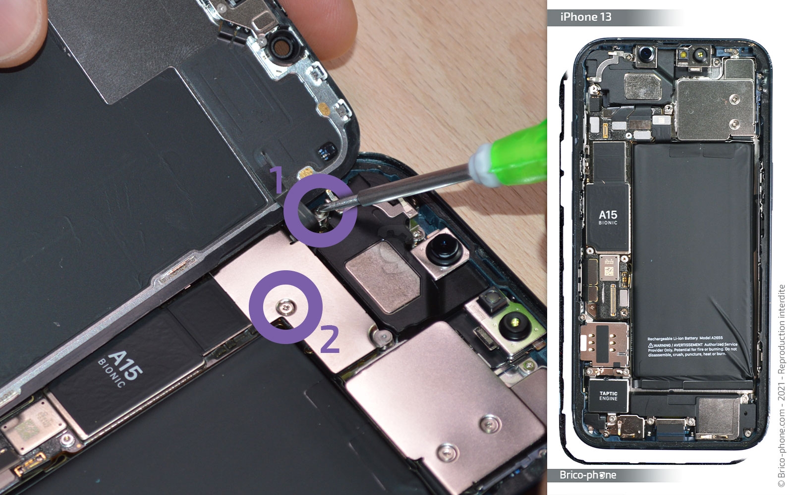 Changement du buzzer (HP interne) sur iPhone 13 photo 1