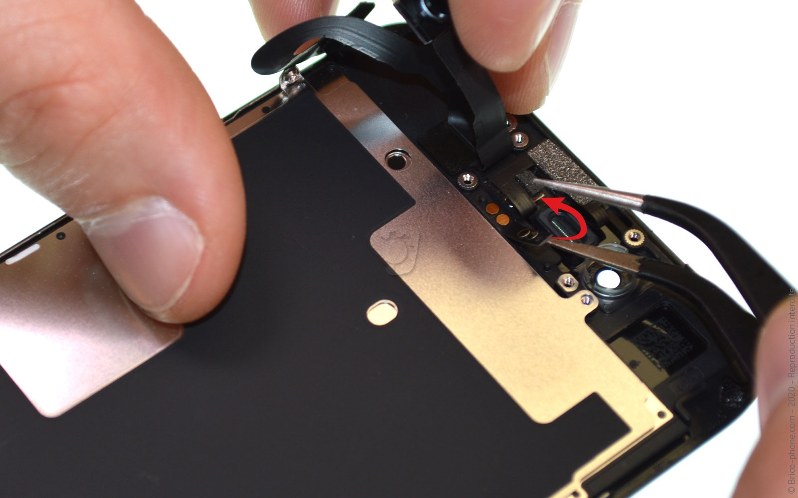 Démontage complet sur iPhone SE 2022 photo 1