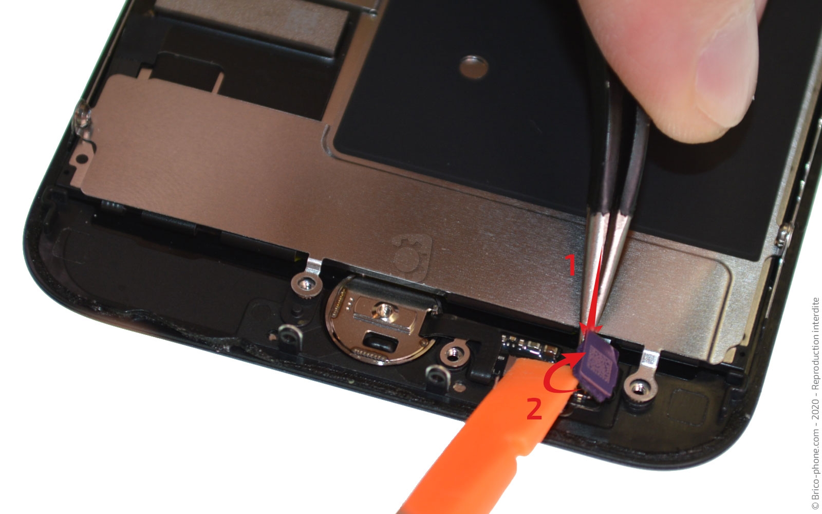 Démontage complet sur iPhone SE 2022 photo 1