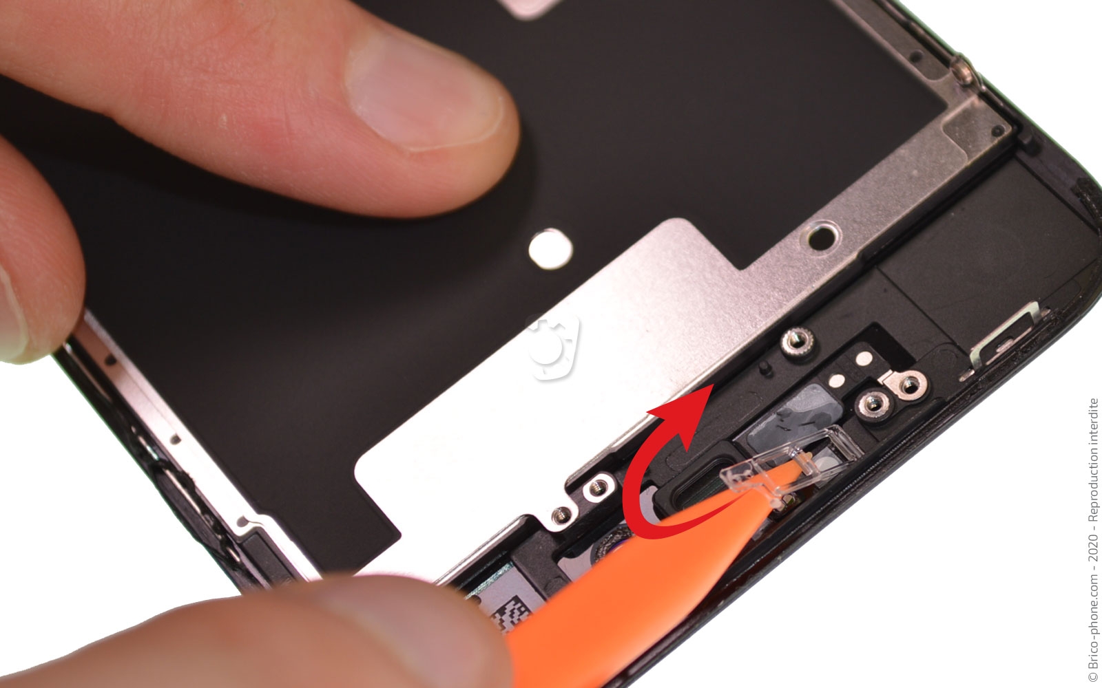 Démontage complet sur iPhone SE 2022 photo 3