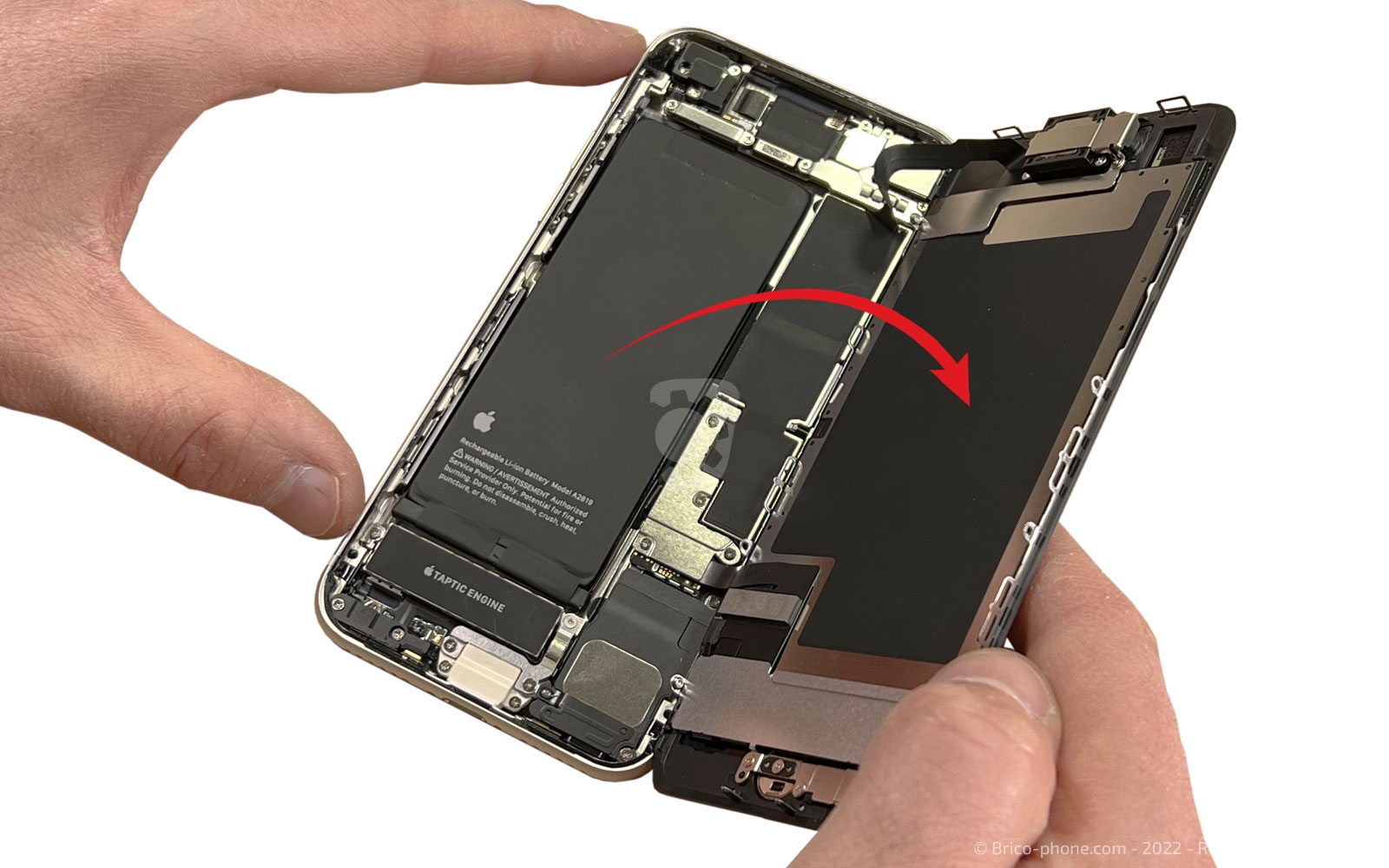 Démontage complet sur iPhone SE 2022 photo 1