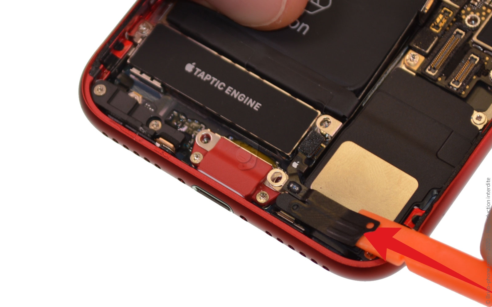 Démontage complet sur iPhone SE 2022 photo 2