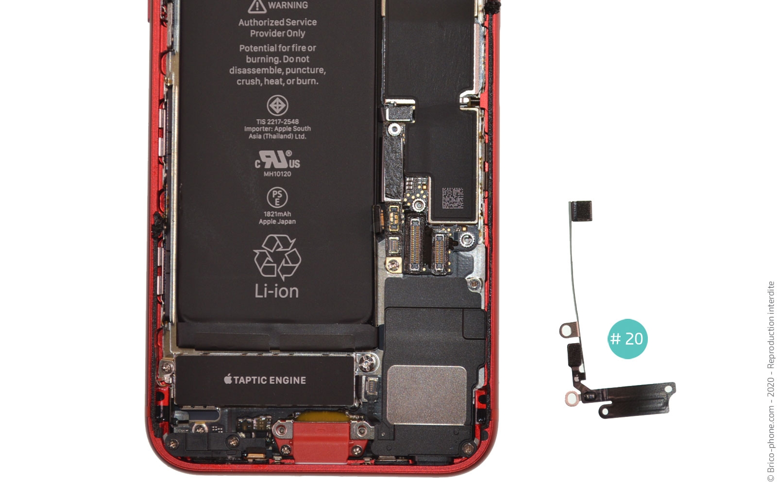 Démontage complet sur iPhone SE 2022 photo 4