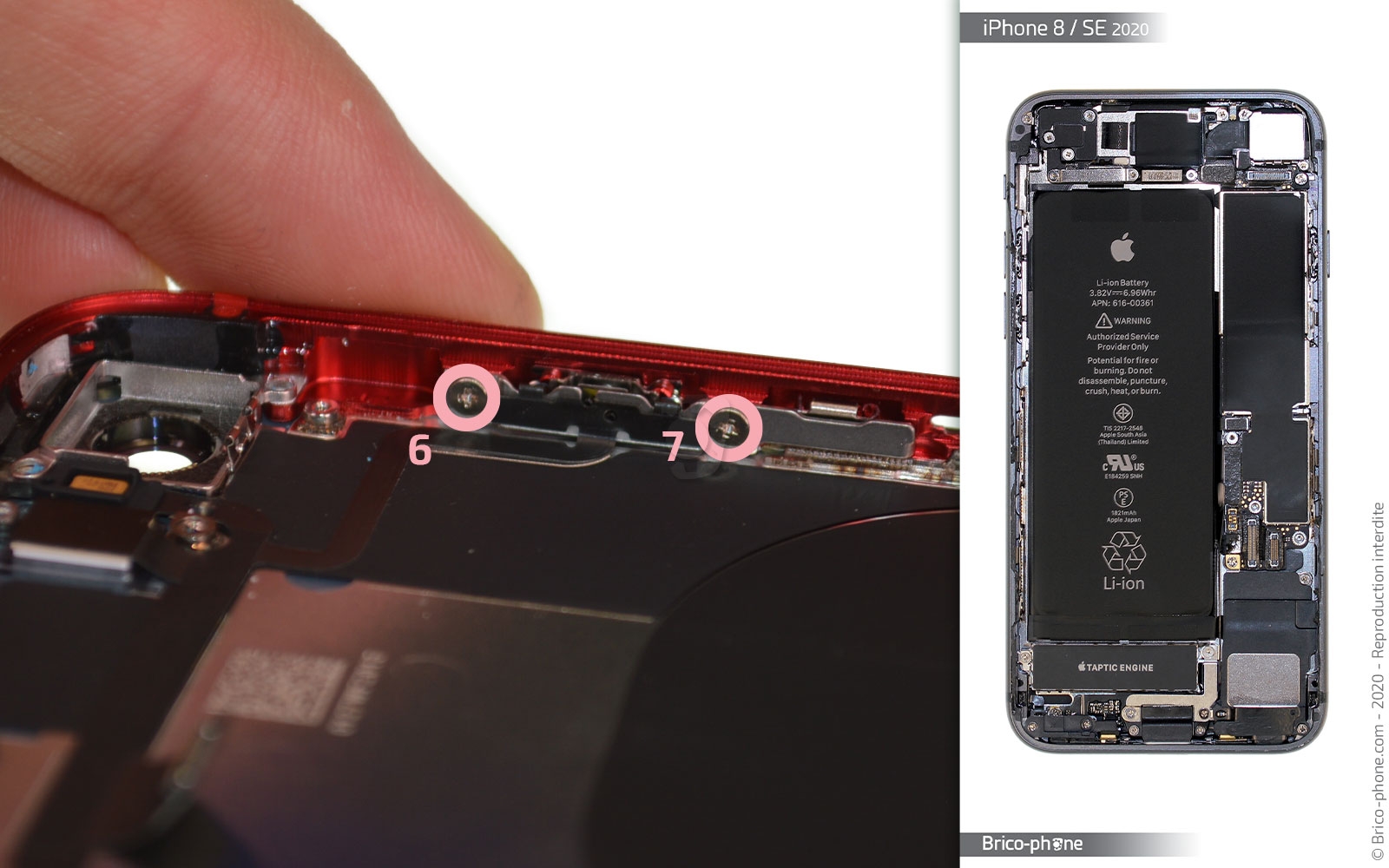 Démontage complet sur iPhone SE 2022 photo 3