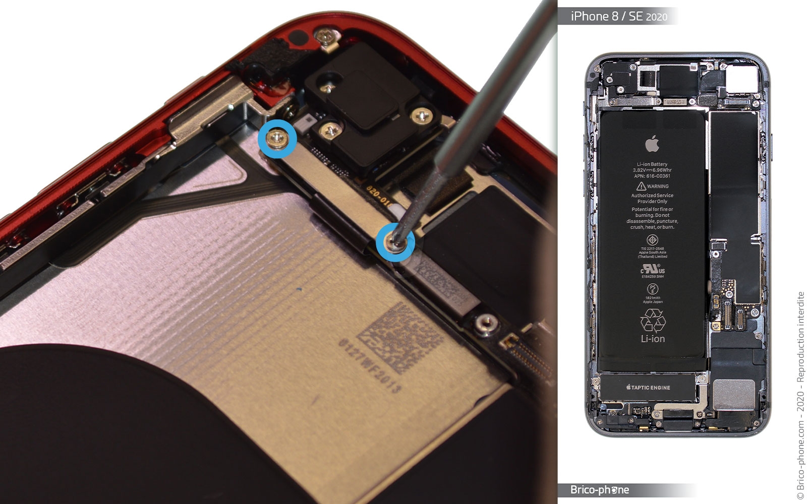 Démontage complet sur iPhone SE 2022 photo 1