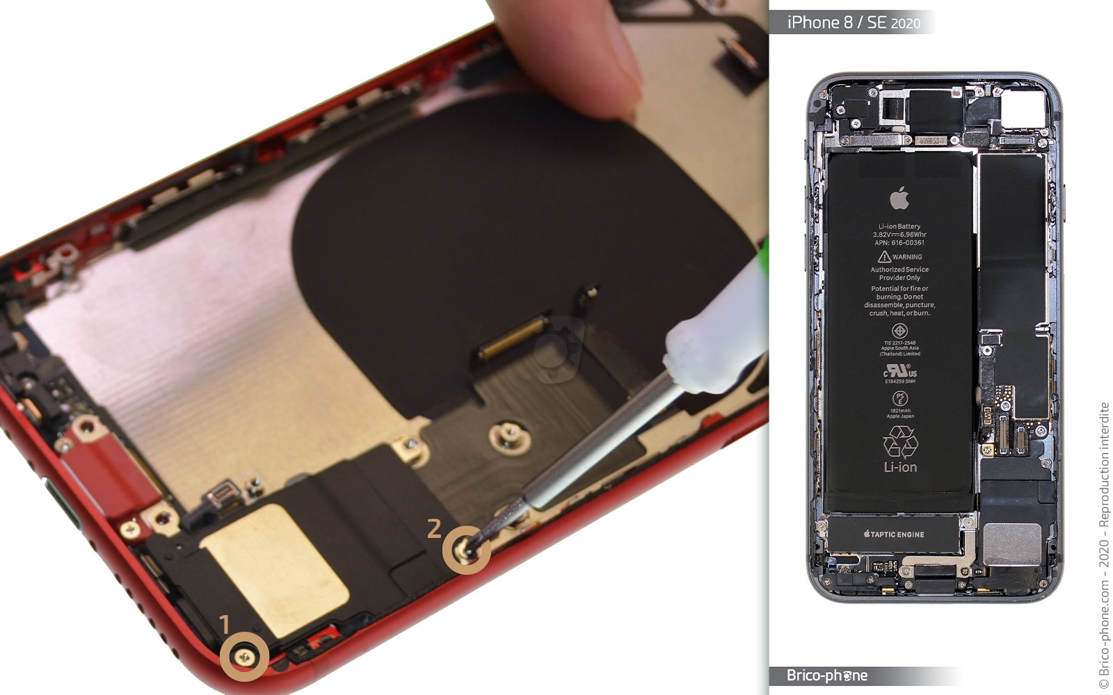 Démontage complet sur iPhone SE 2022 photo 1