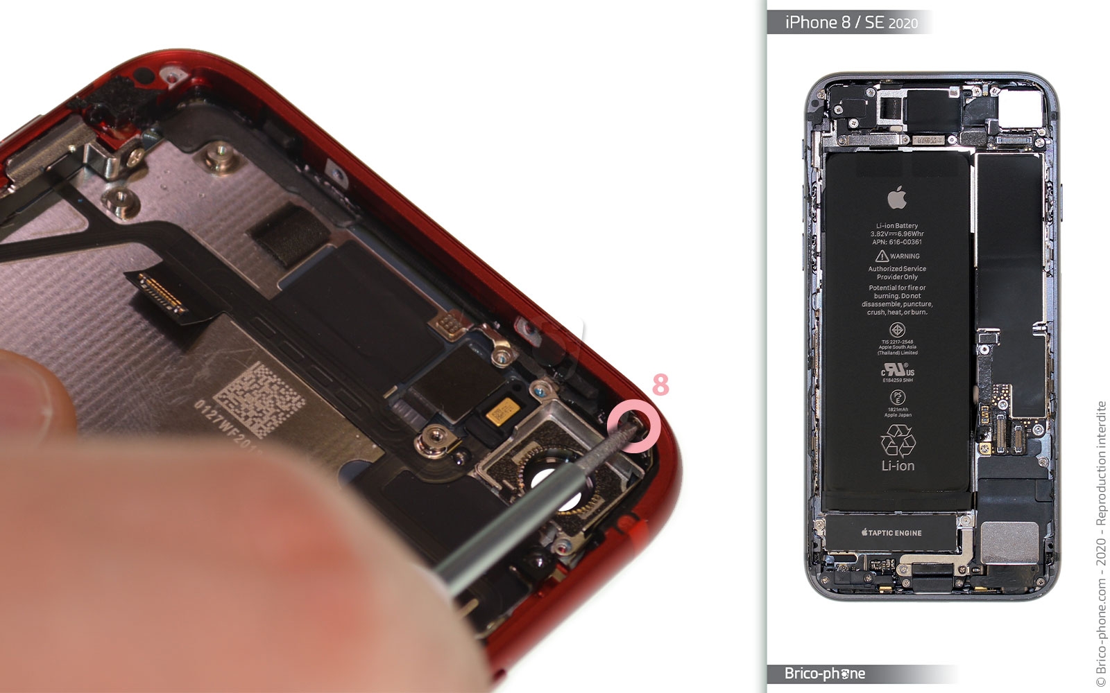 Démontage complet sur iPhone SE 2022 photo 1