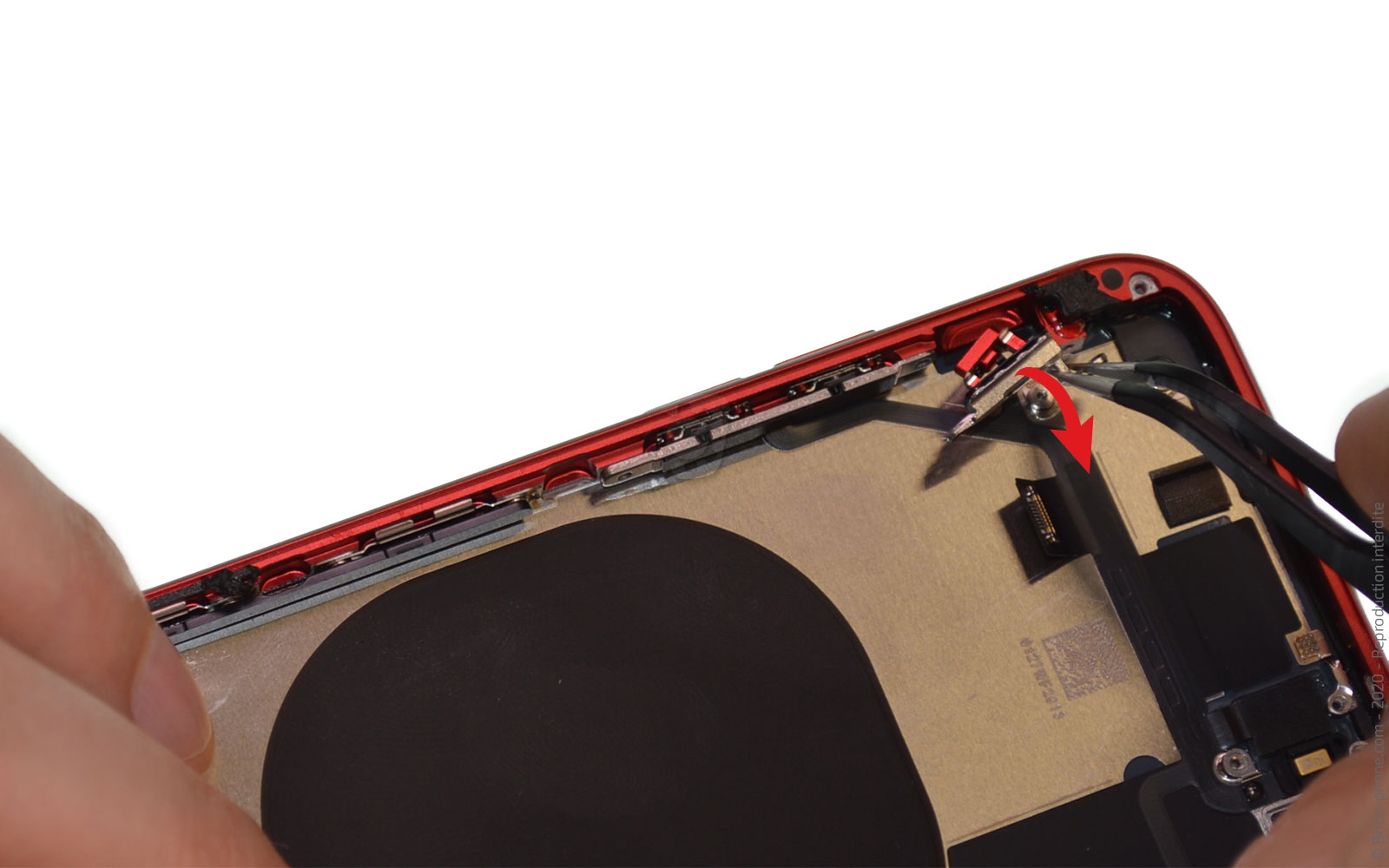 Démontage complet sur iPhone SE 2022 photo 1