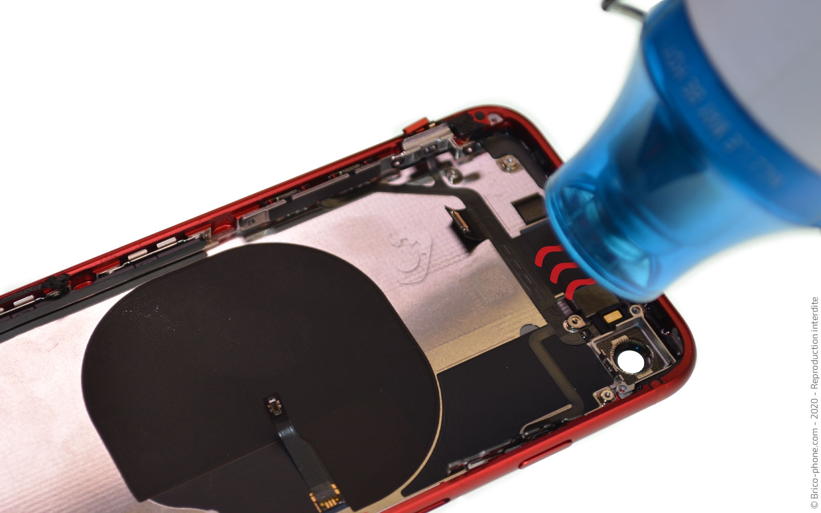 Démontage complet sur iPhone SE 2022 photo 2