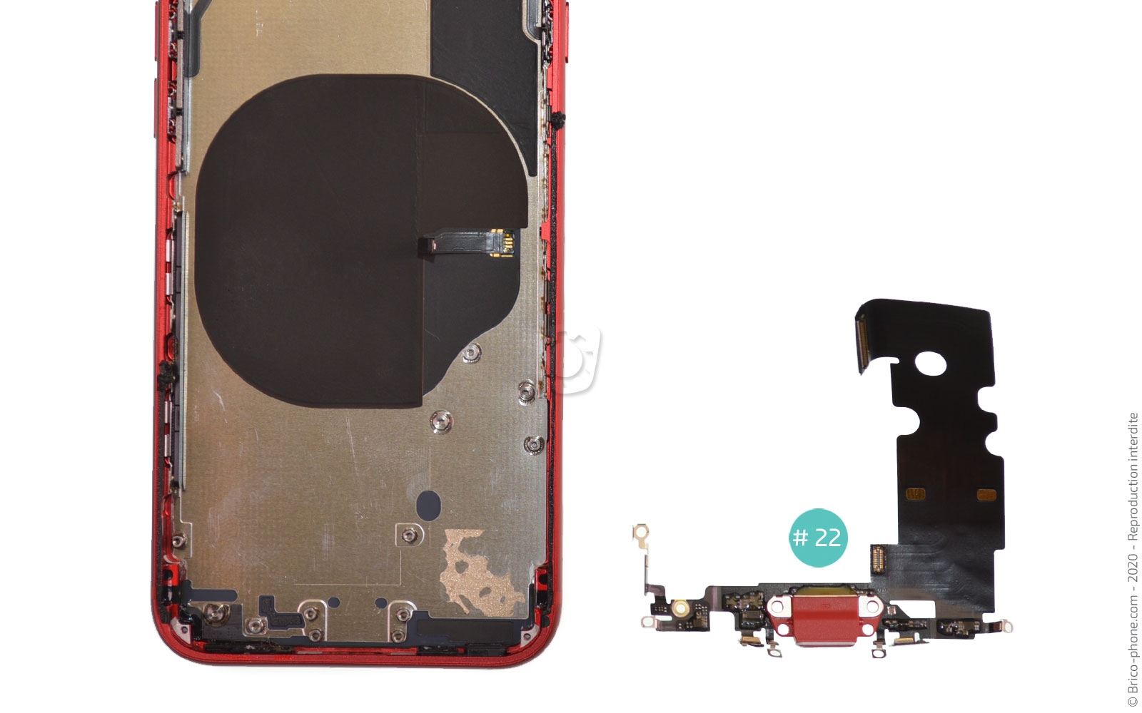 Démontage complet sur iPhone SE 2022 photo 4