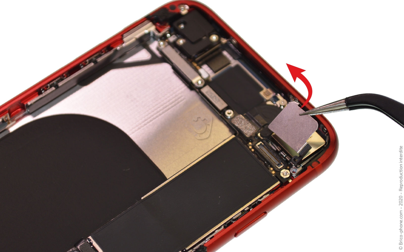 Démontage complet sur iPhone SE 2022 photo 2