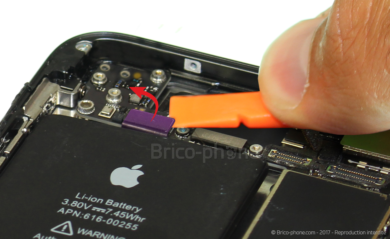 Démontage complet sur iPhone SE 2022 photo 1