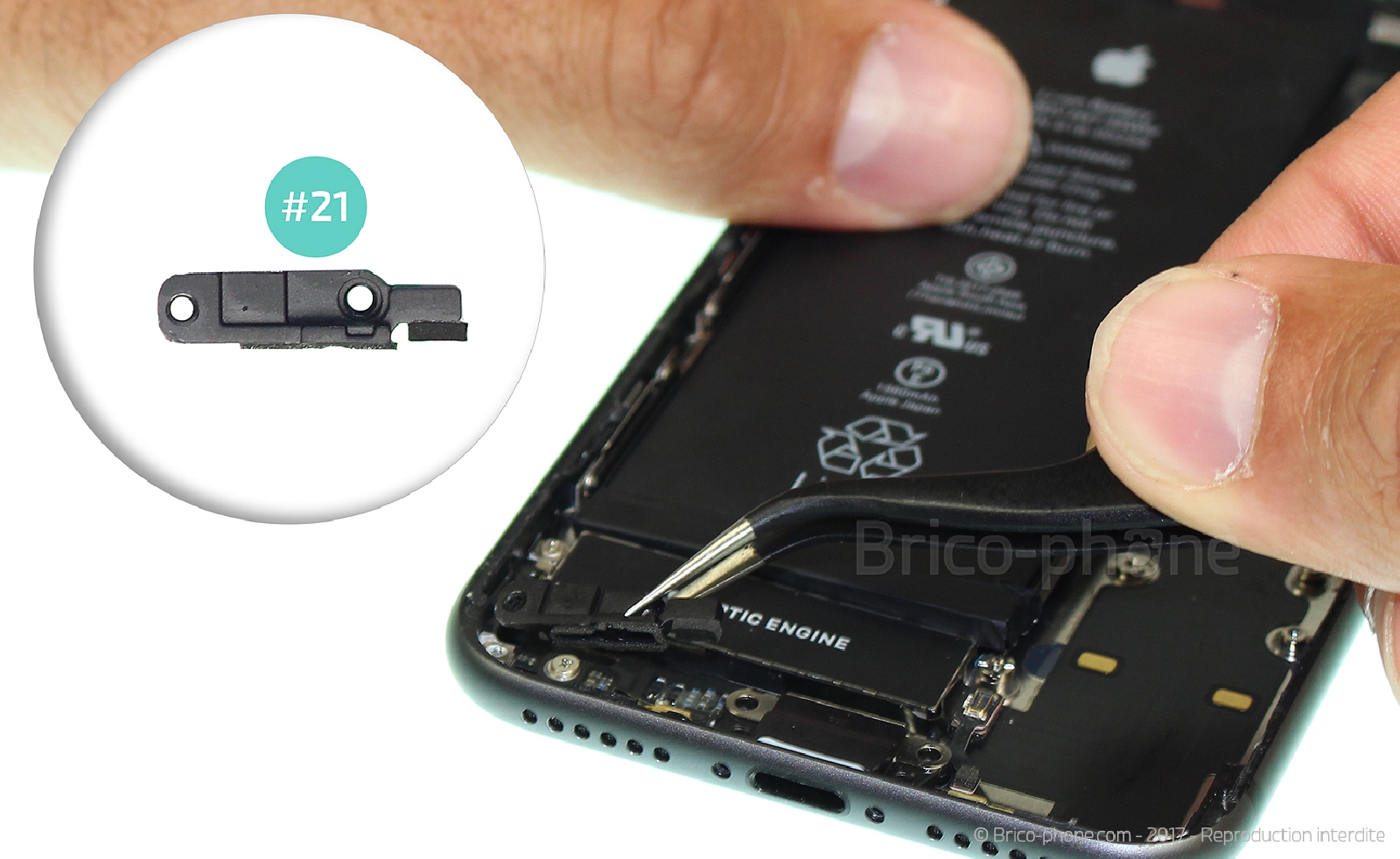 Remplacer le connecteur de charge  sur iPhone SE 2022 photo 2