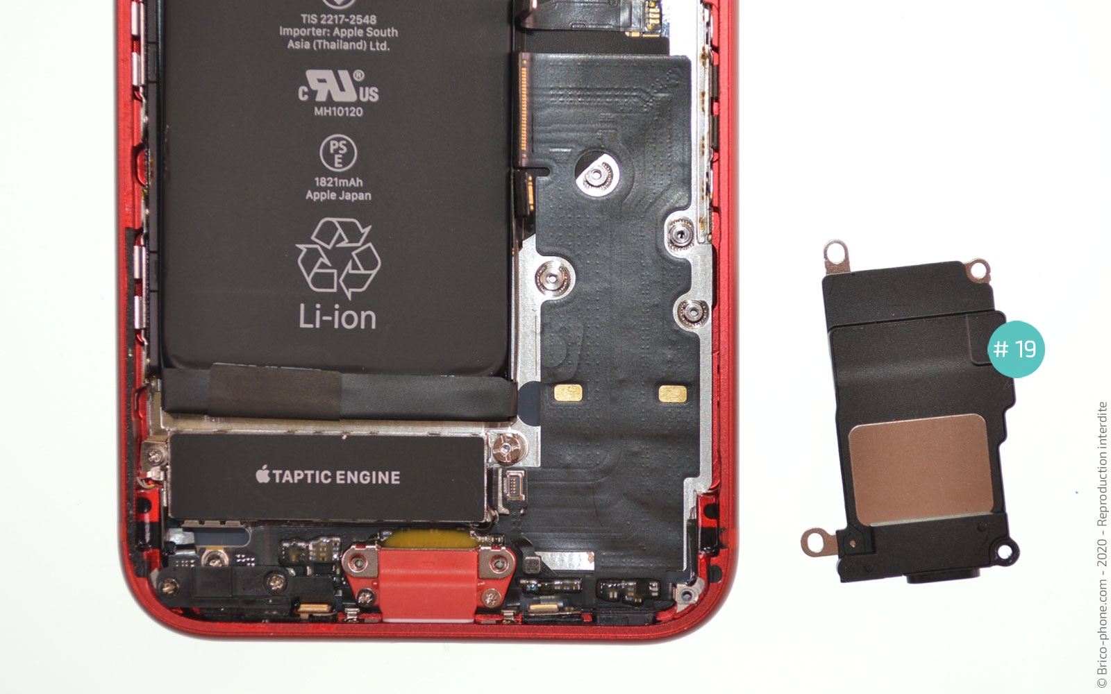 Remplacer le connecteur de charge  sur iPhone SE 2022 photo 3