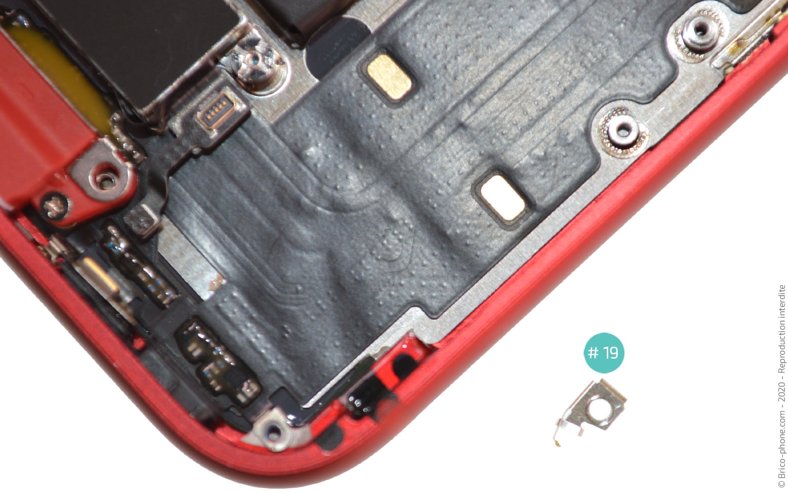 Remplacer le connecteur de charge  sur iPhone SE 2022 photo 2