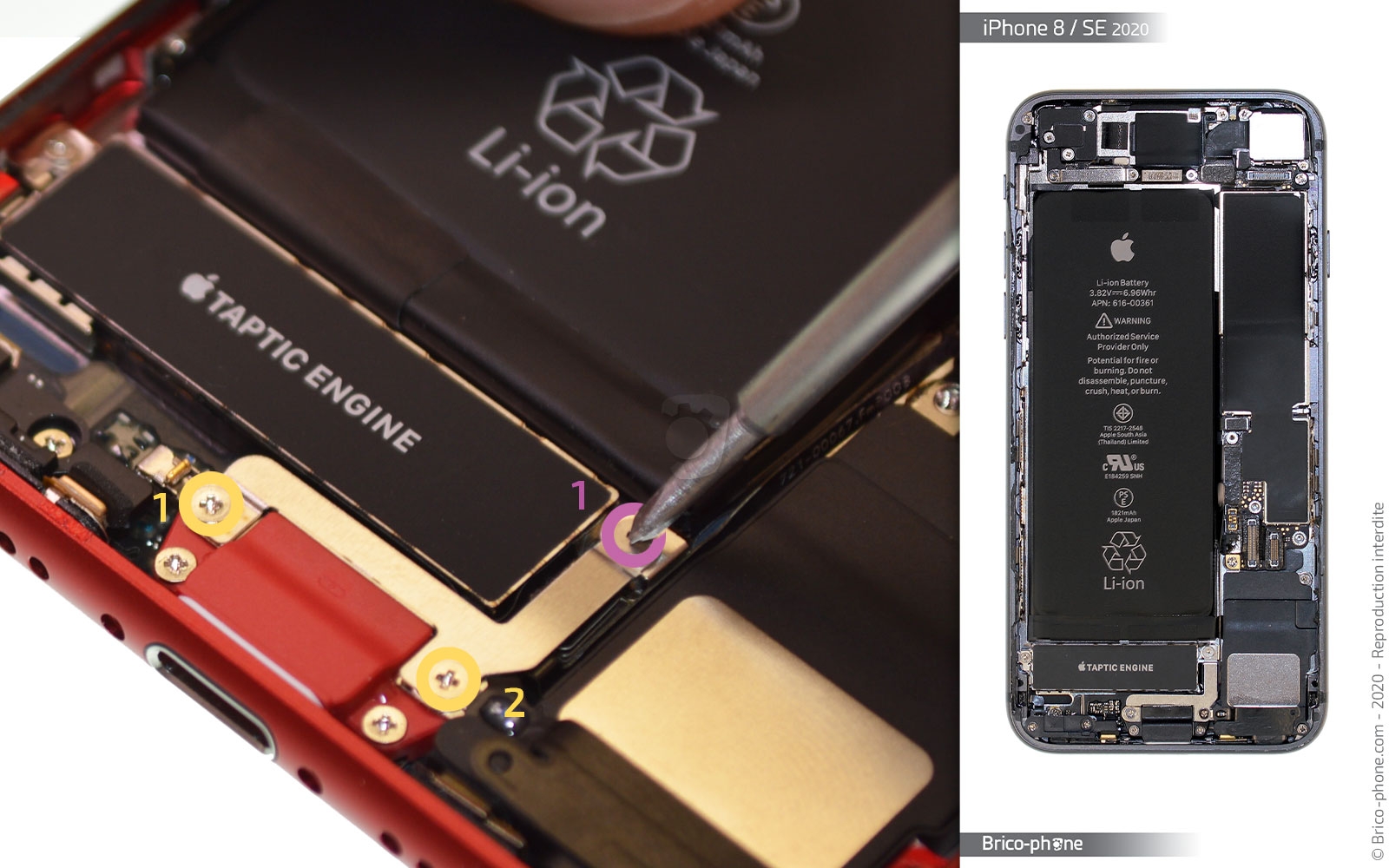 Remplacer le connecteur de charge  sur iPhone SE 2022 photo 1