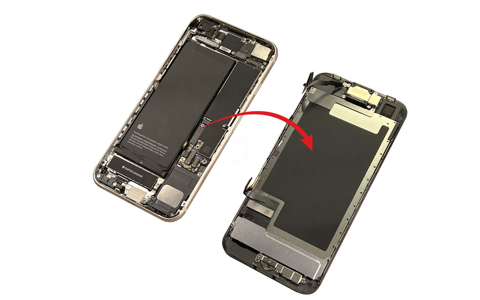 Remplacer le connecteur de charge  sur iPhone SE 2022 photo 2