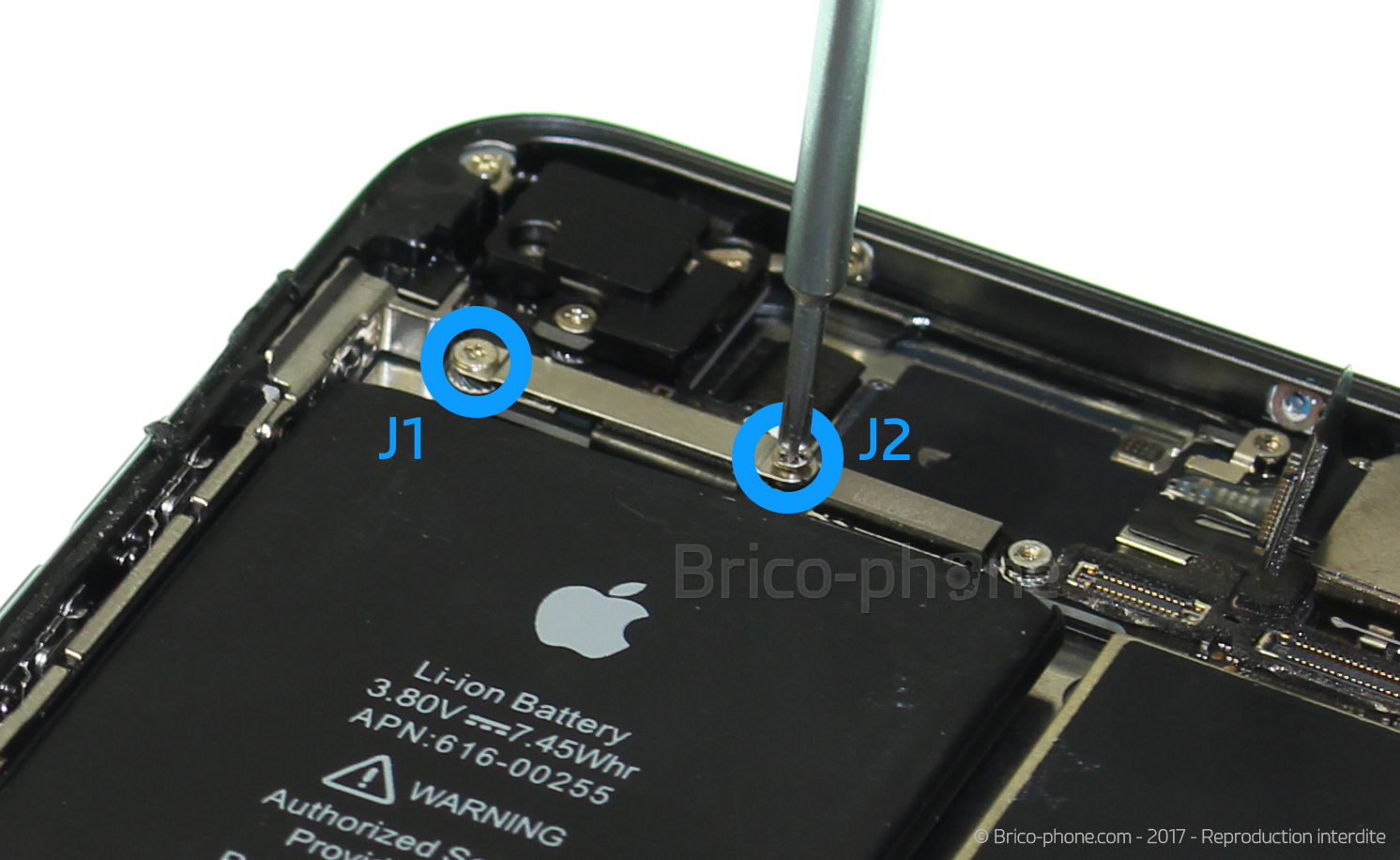 Remplacer le connecteur de charge  sur iPhone SE 2022 photo 1