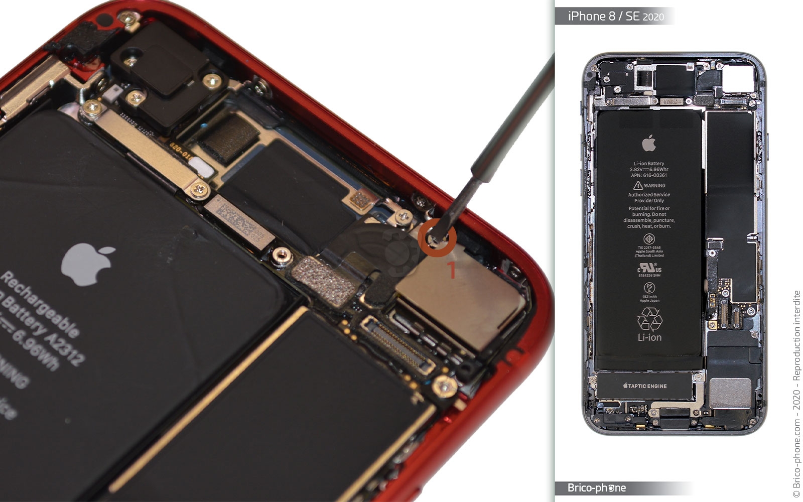 Changement de la caméra arrière sur iPhone SE 2022 photo 2