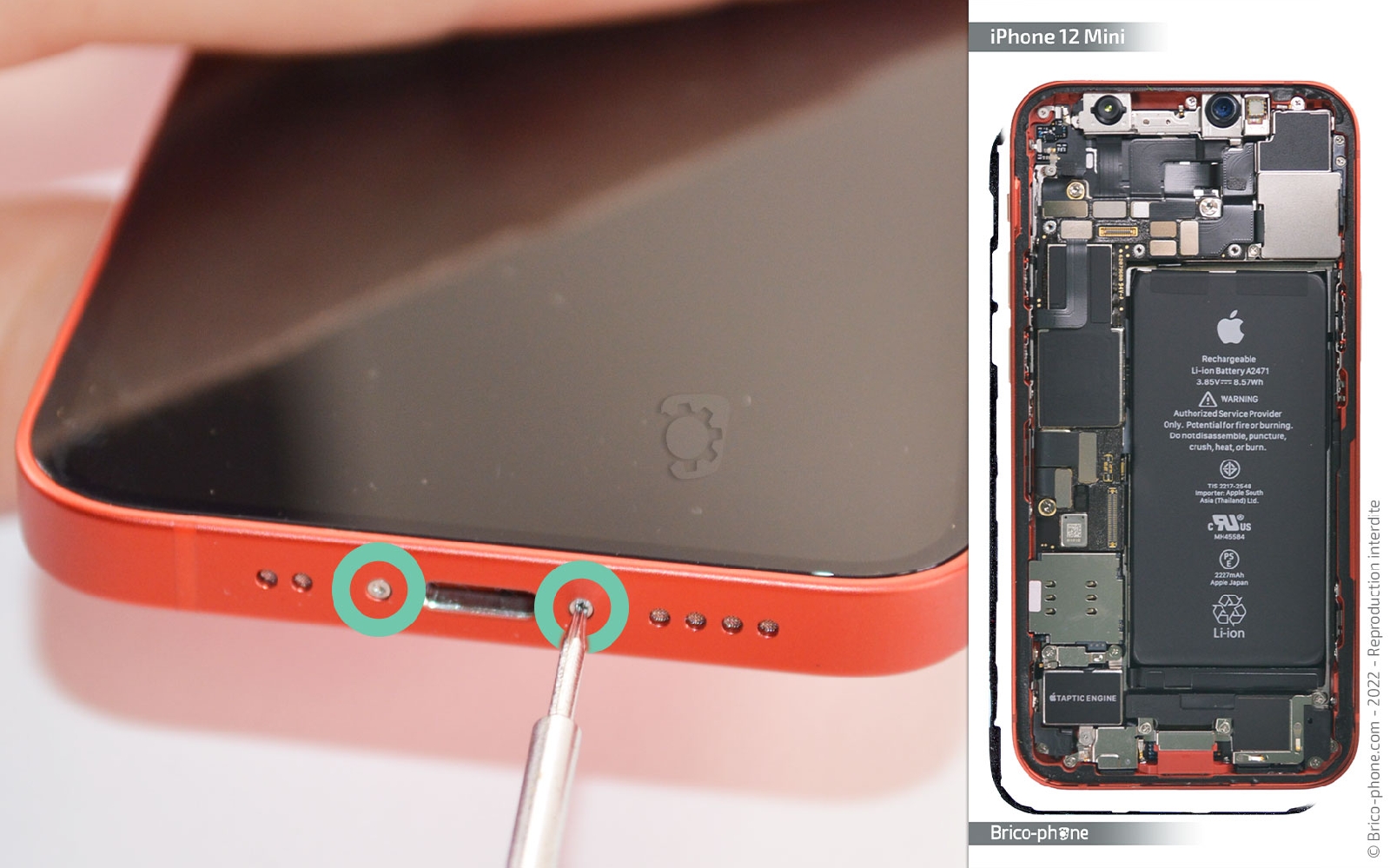 Comment remplacer la caméra Face ID  sur iPhone 12 Mini photo 1