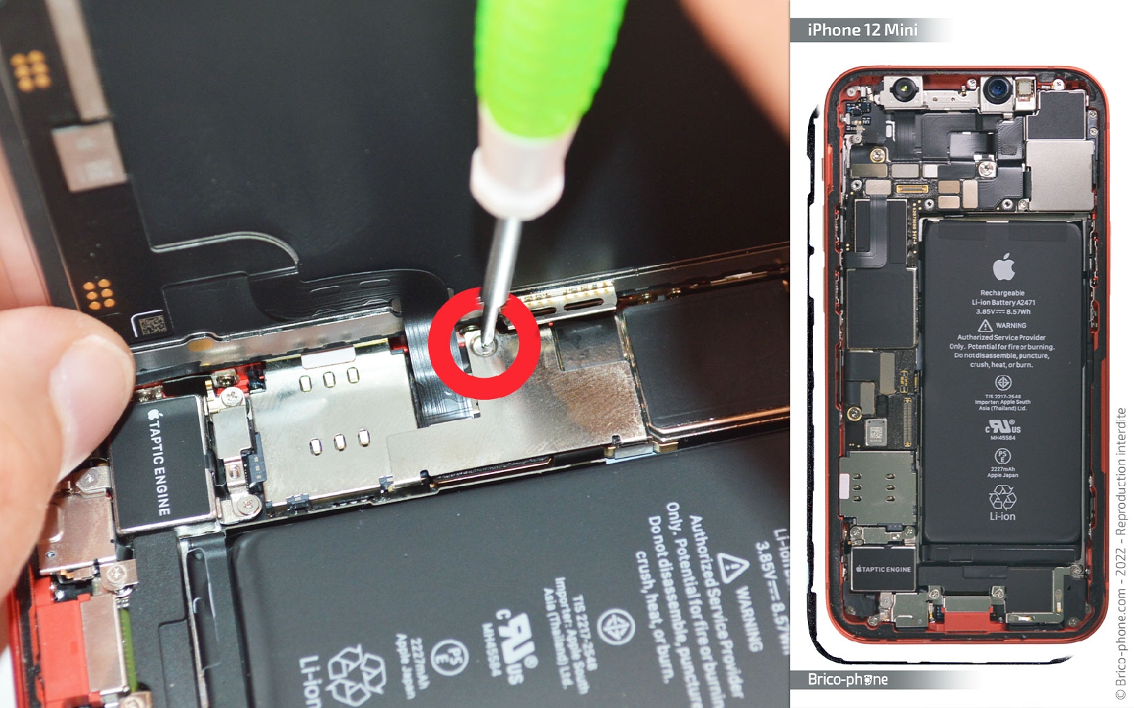 Comment remplacer la caméra Face ID  sur iPhone 12 Mini photo 1