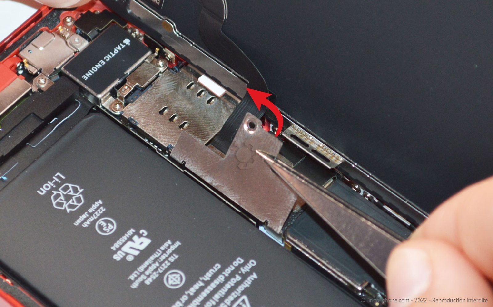 Comment remplacer la caméra Face ID  sur iPhone 12 Mini photo 2