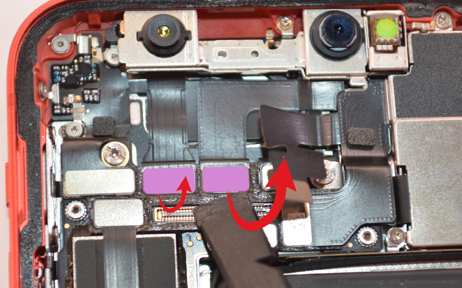 Comment remplacer la caméra Face ID  sur iPhone 12 Mini photo 2