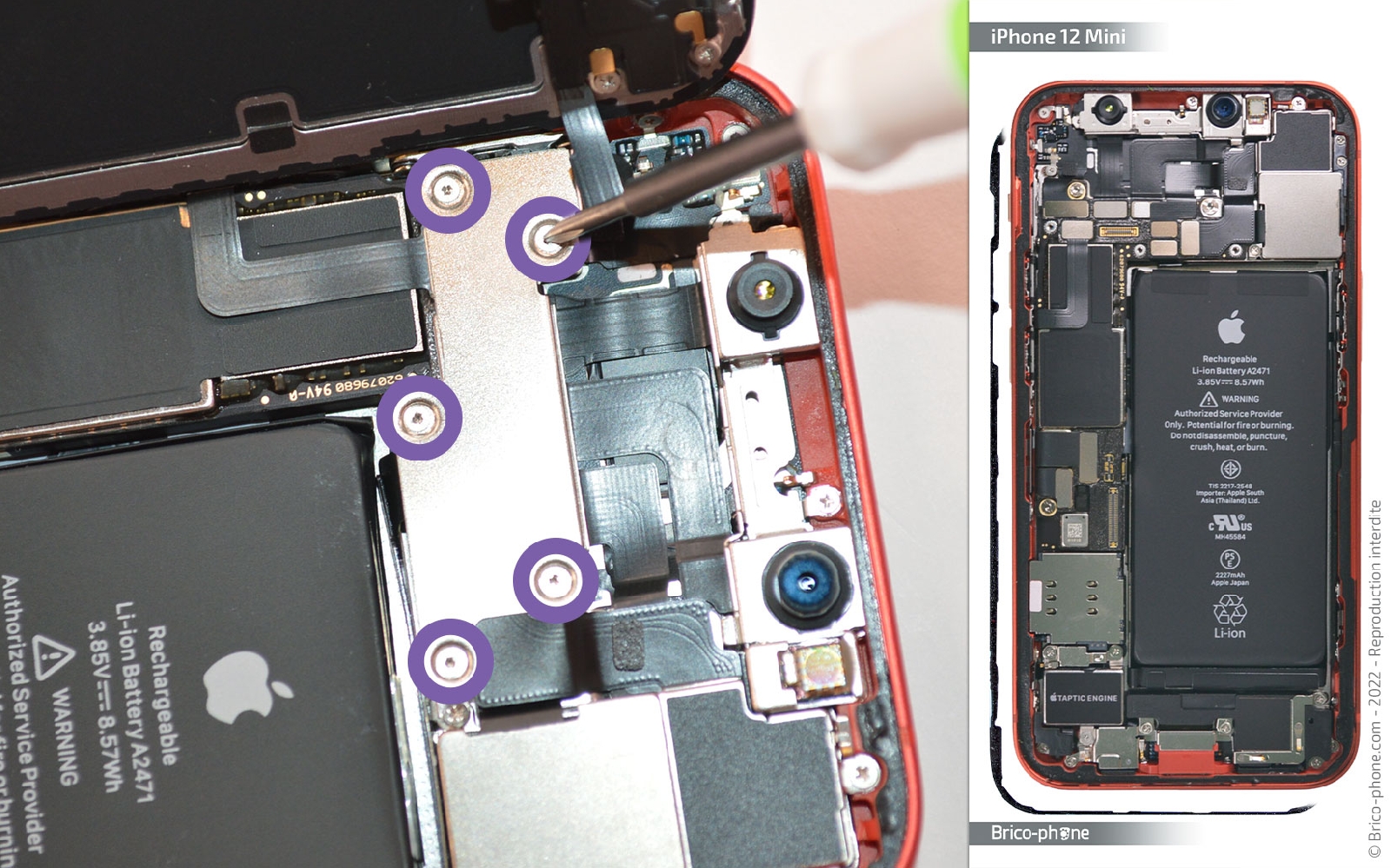 Comment changer le châssis complet sur iPhone 12 Mini photo 1