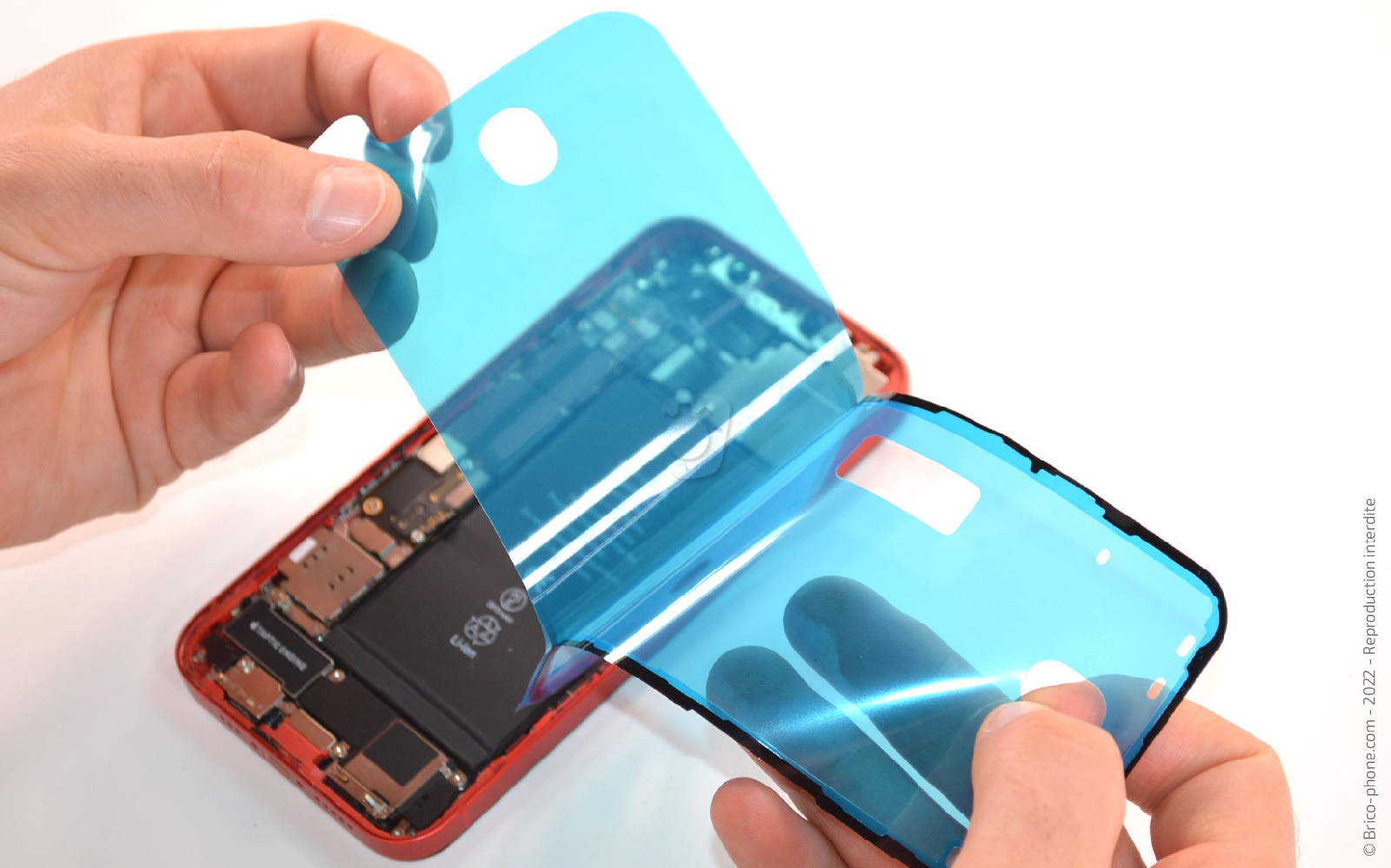 Comment remplacer la coque arrière sur iPhone 12 photo 1