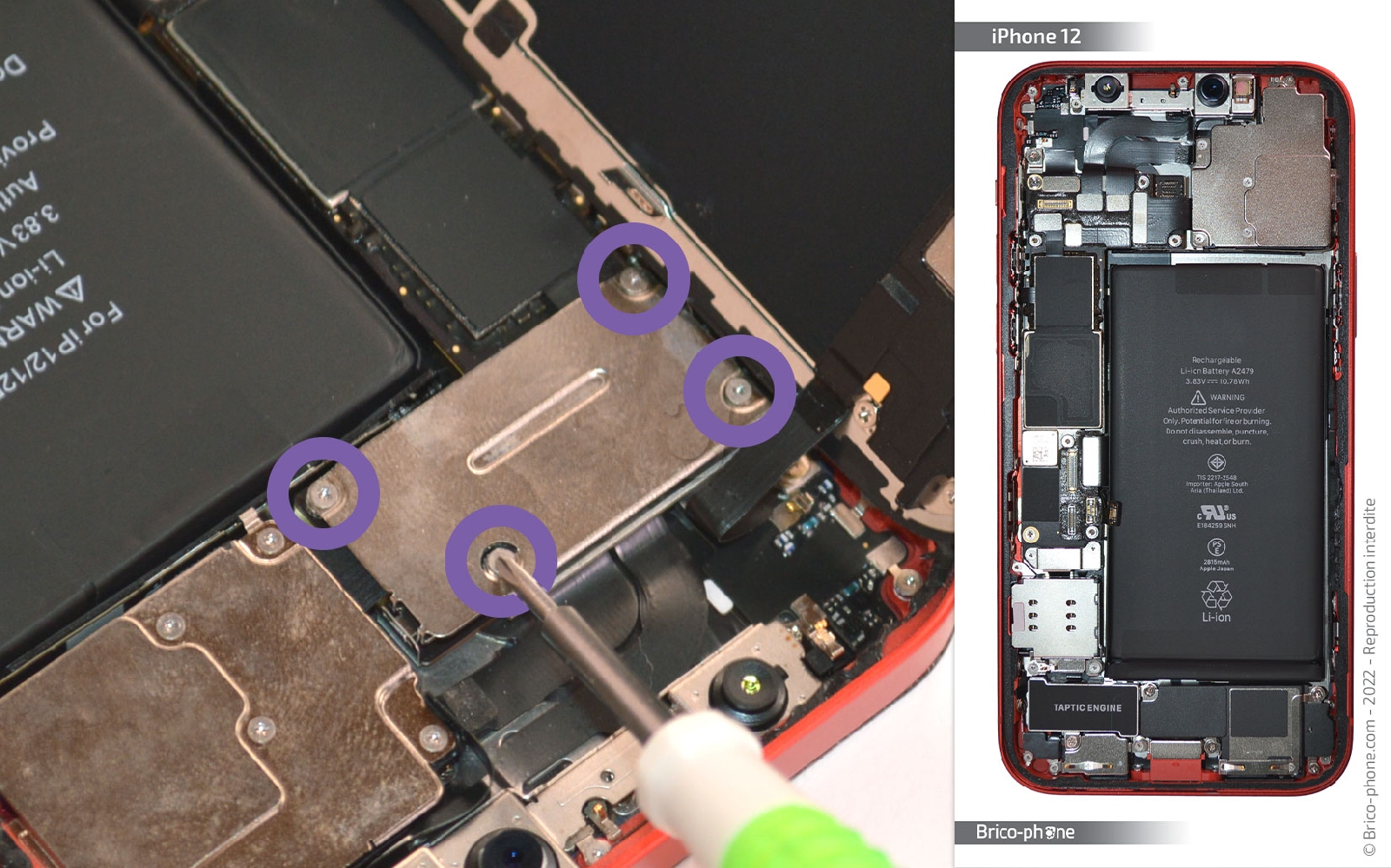 Comment remplacer la coque arrière sur iPhone 12 photo 1