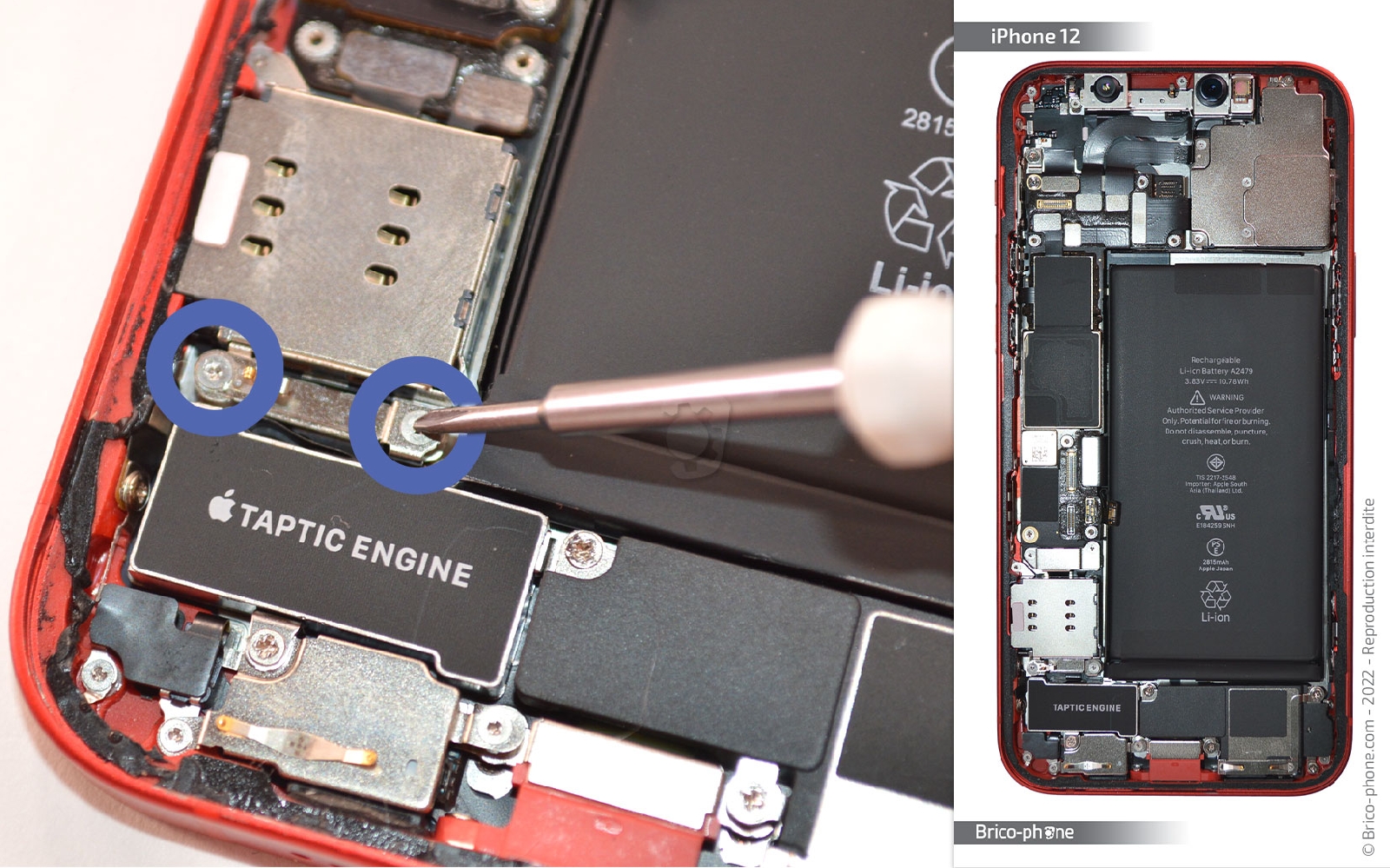 Comment remplacer la coque arrière sur iPhone 12 photo 1