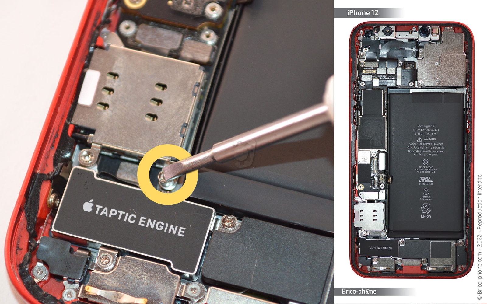 Comment remplacer la coque arrière sur iPhone 12 photo 3