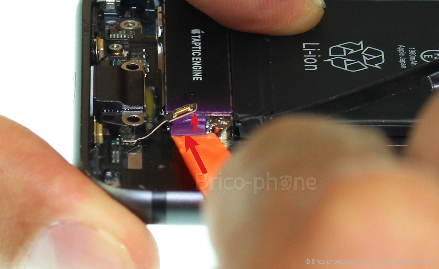 Changement du vibreur Taptic Engine sur iPhone 8 photo 2