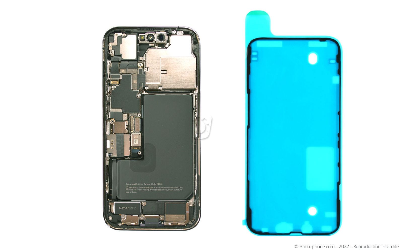 Comment remplacer le Taptic Engine (vibreur) sur iPhone 14 Pro photo 1