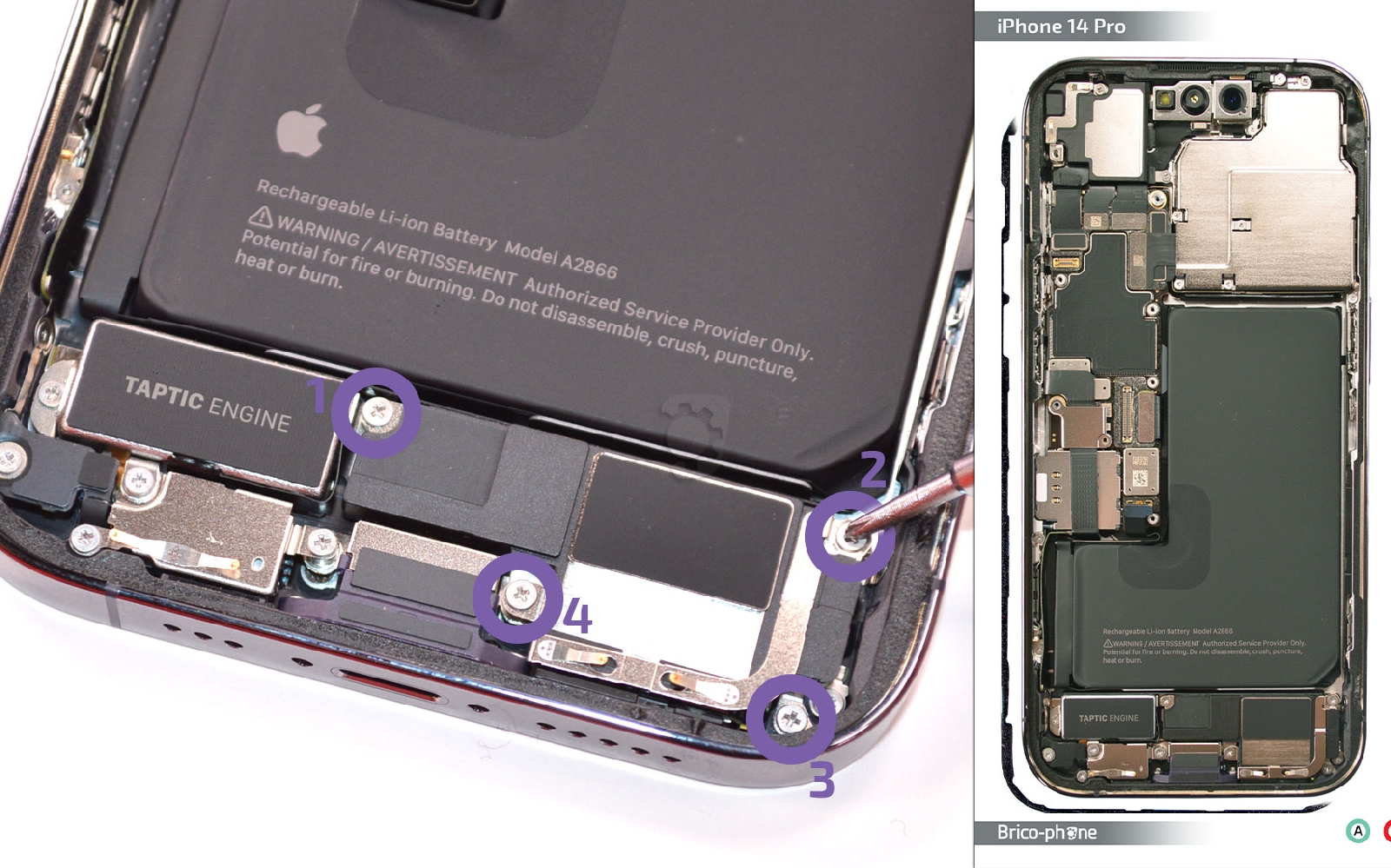 Comment remplacer le Taptic Engine (vibreur) sur iPhone 14 Pro photo 1