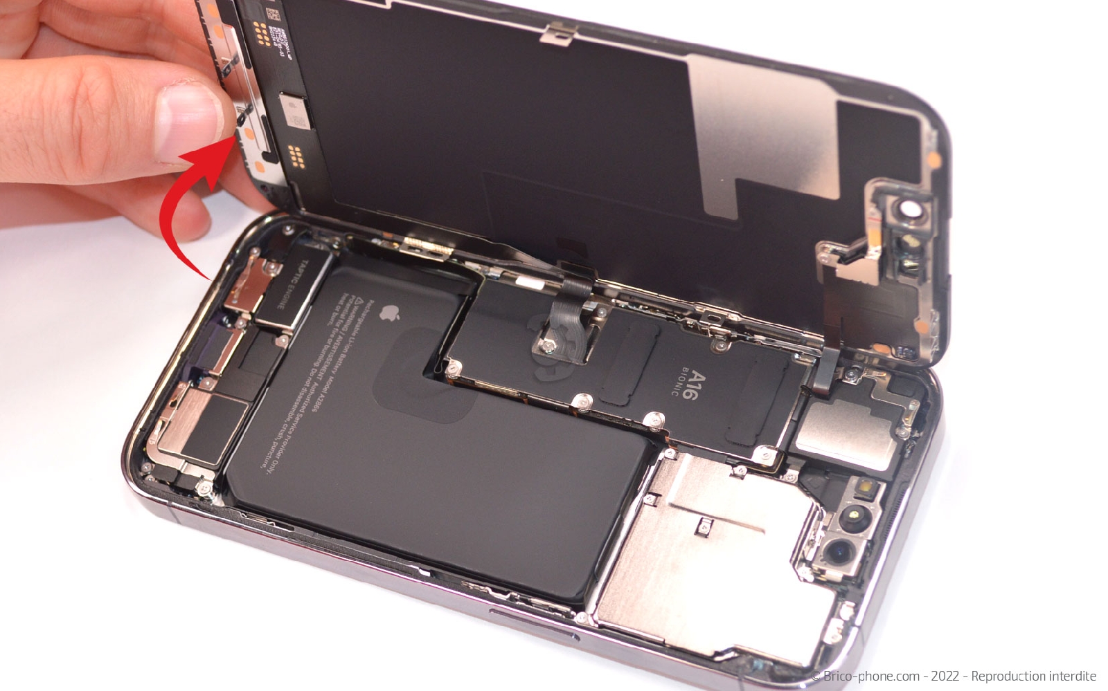 Comment remplacer le Taptic Engine (vibreur) sur iPhone 14 Pro photo 4