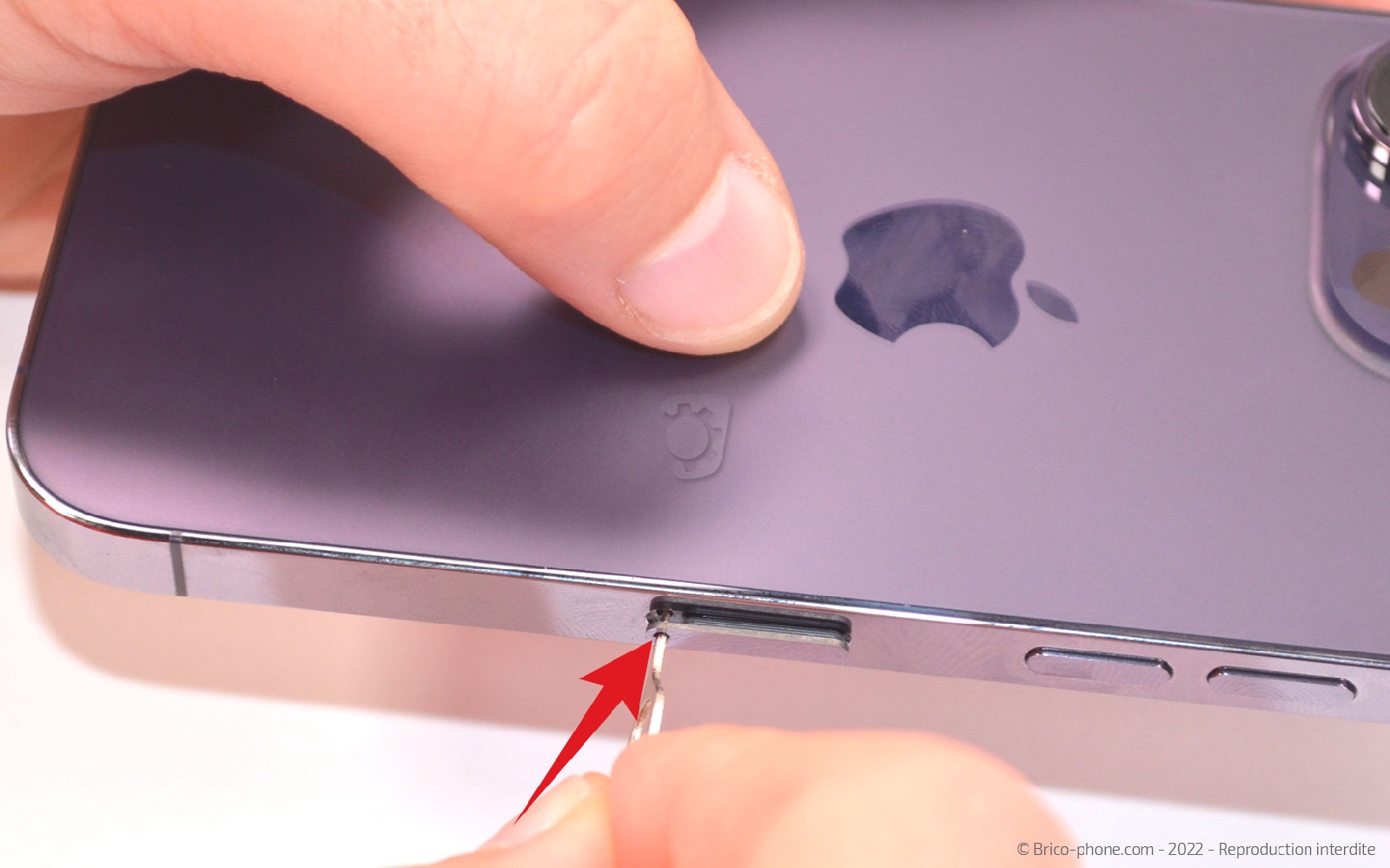 Comment remplacer le Taptic Engine (vibreur) sur iPhone 14 Pro photo 1