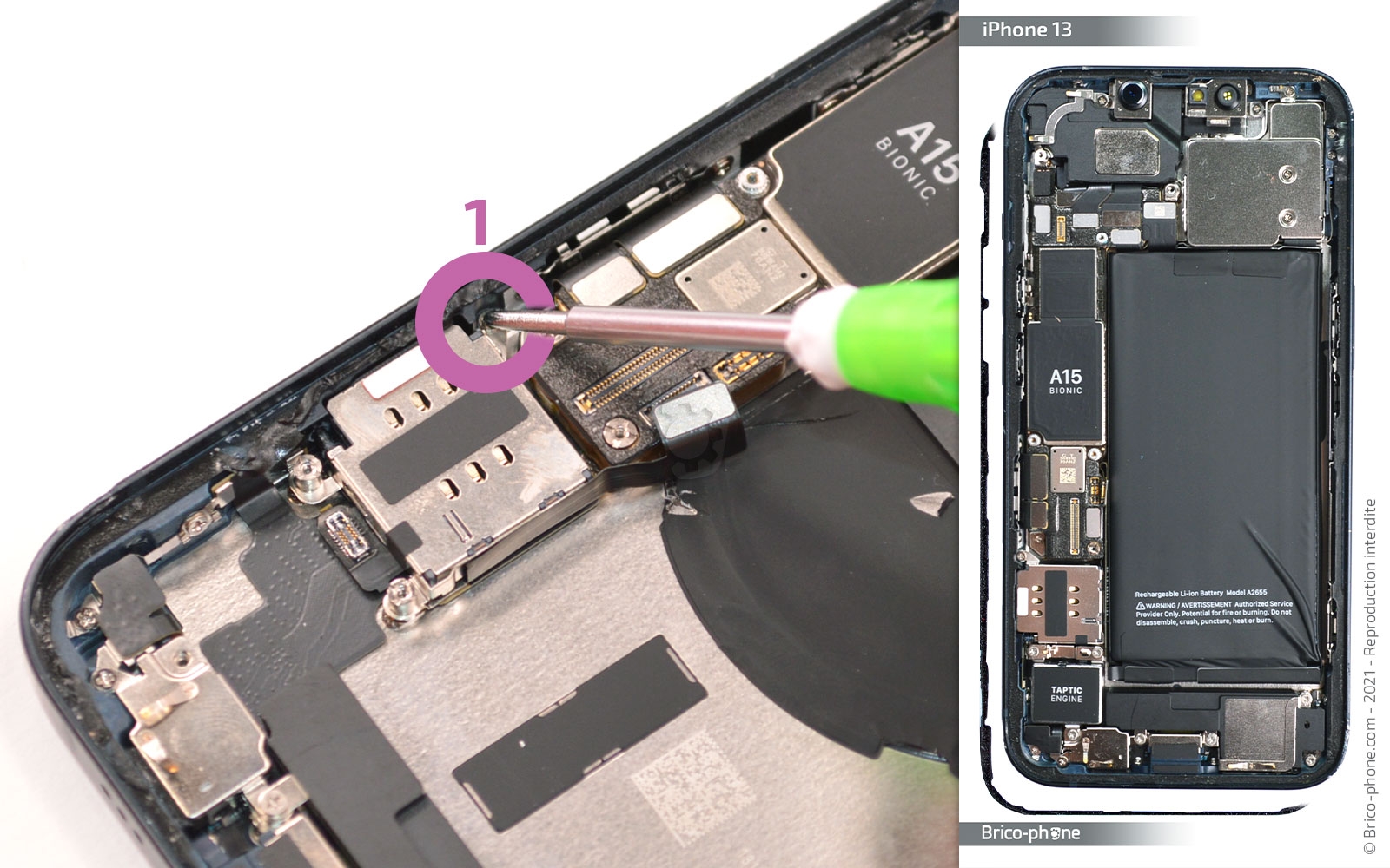 Comment remplacer le châssis complet sur iPhone 13 photo 2