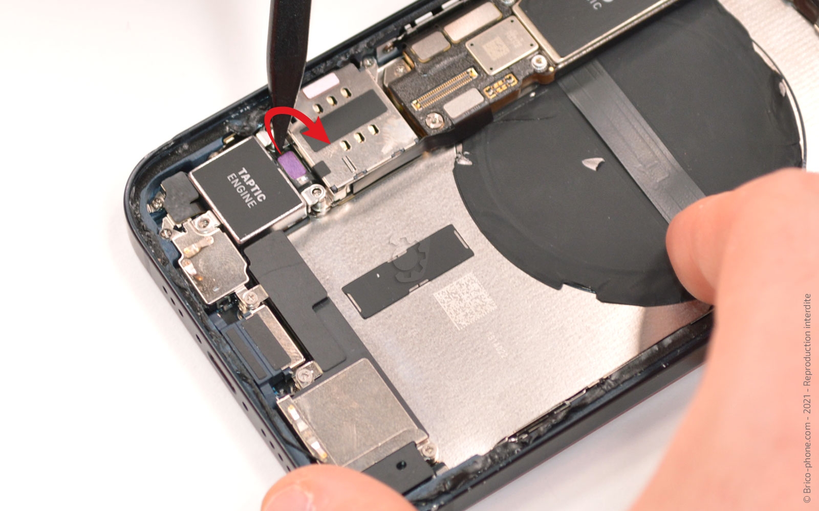 Comment remplacer le châssis complet sur iPhone 13 photo 4