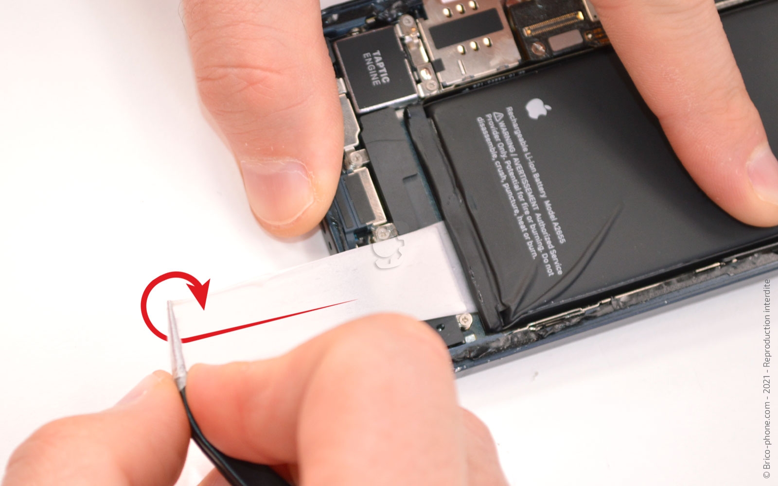 Comment remplacer le châssis complet sur iPhone 13 photo 4