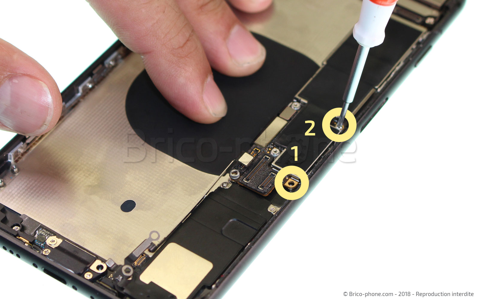 Changement de nappe induction sur iPhone 8 Plus photo 1