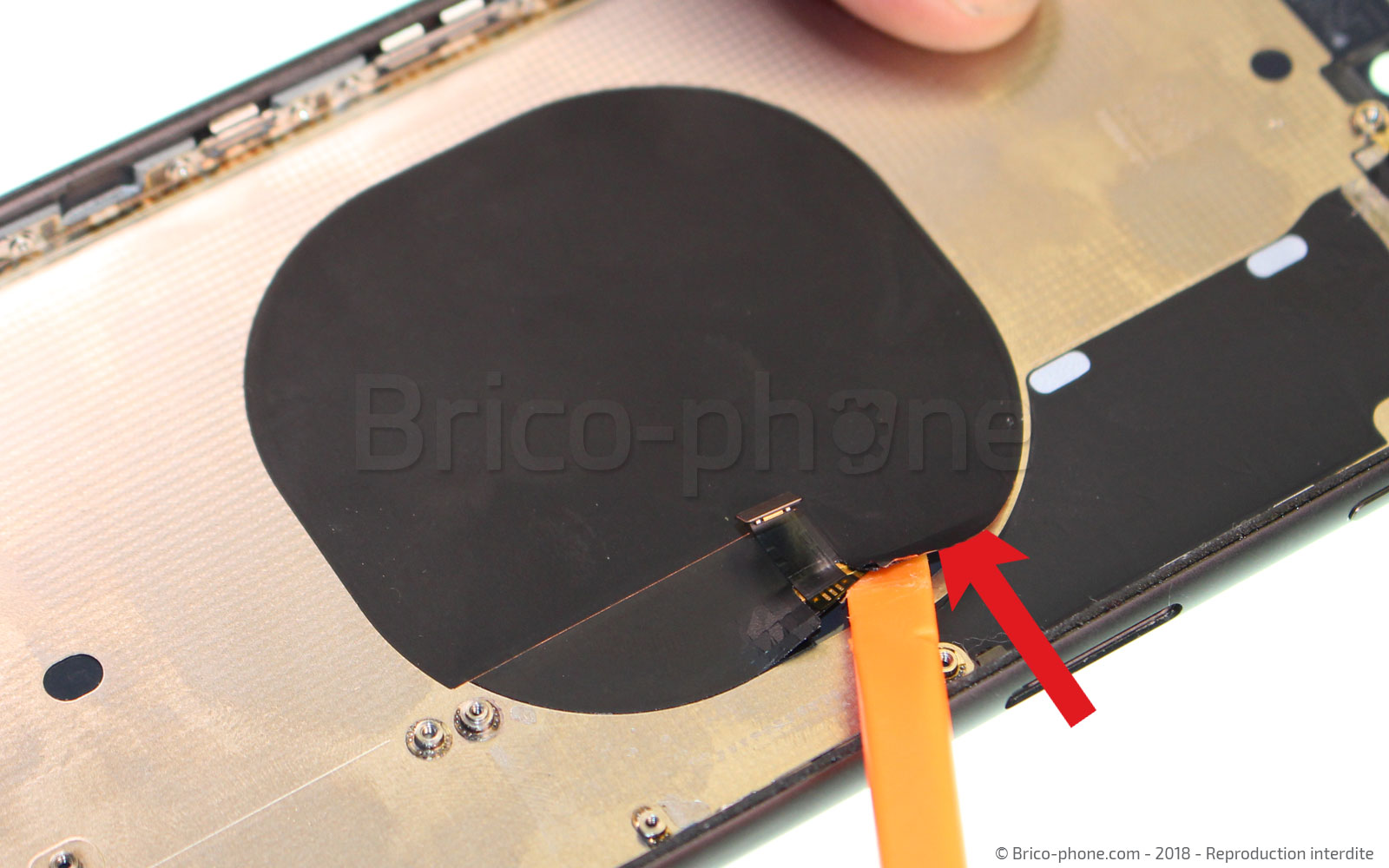 Changement de nappe induction sur iPhone 8 Plus photo 2