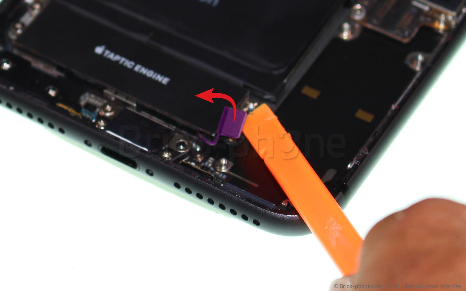 Changement du connecteur de charge sur iPhone 8 Plus photo 1