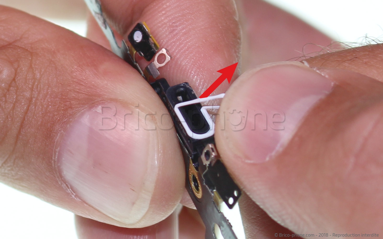 Changement du connecteur de charge sur iPhone 8 Plus photo 2