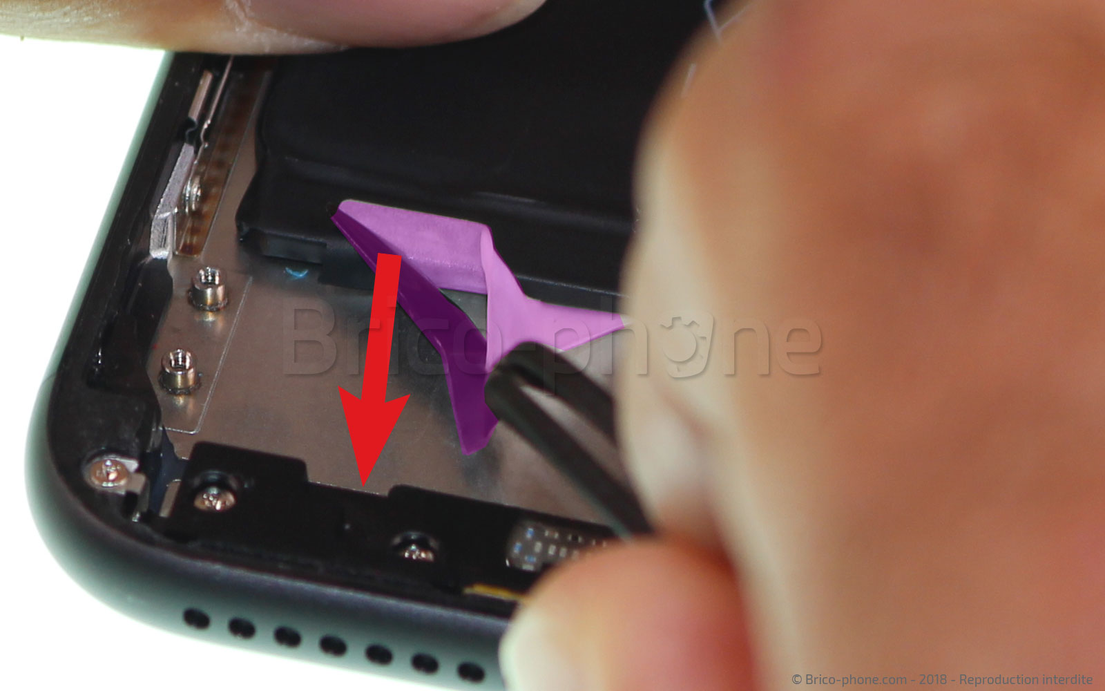 Changement de nappe power et volume sur iPhone 8 Plus photo 1