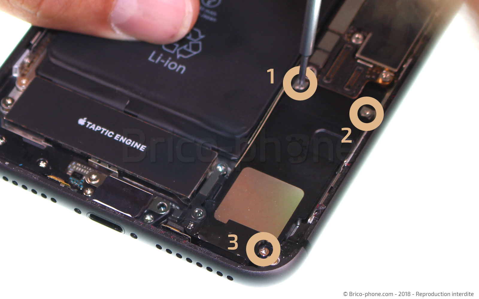 Changement de haut-parleur externe sur iPhone 8 Plus photo 1